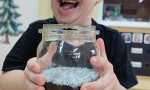 Tygryski: Styczeń 2026 - Zdjęcie 1