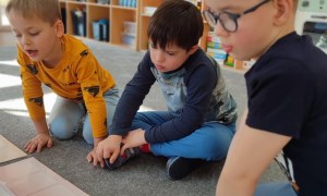 Tygryski: Styczeń 2026 - Zdjęcie 8