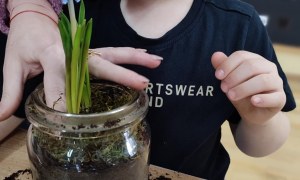 Tygryski: Styczeń 2026 - Zdjęcie 10