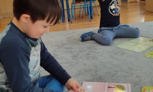 Tygryski: Styczeń 2026 - Zdjęcie 16