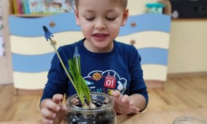 Tygryski: Styczeń 2026 - Zdjęcie 27