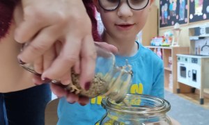 Tygryski: Styczeń 2026 - Zdjęcie 28