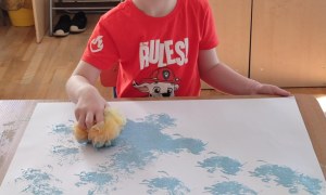 Tygryski: Styczeń 2026 - Zdjęcie 37