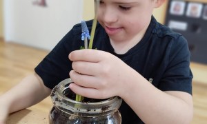 Tygryski: Styczeń 2026 - Zdjęcie 56