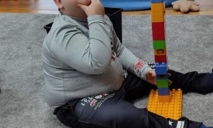 Tygryski: Styczeń 2026 - Zdjęcie 60