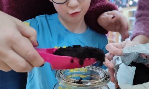 Tygryski: Styczeń 2026 - Zdjęcie 66