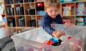 Tygryski: Styczeń 2026 - Zdjęcie 71