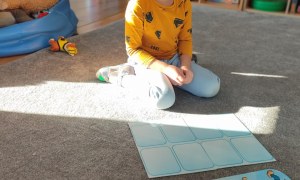 Tygryski: Styczeń 2026 - Zdjęcie 72