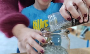 Tygryski: Styczeń 2026 - Zdjęcie 73