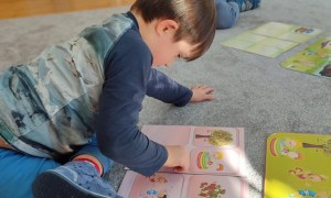 Tygryski: Styczeń 2026 - Zdjęcie 84