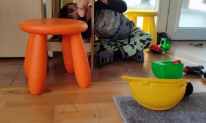 Tygryski: Styczeń 2026 - Zdjęcie 24