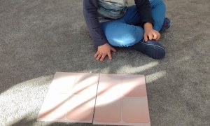 Tygryski: Styczeń 2026 - Zdjęcie 30