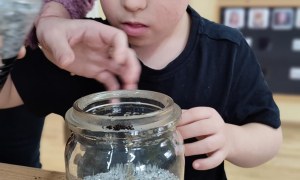 Tygryski: Styczeń 2026 - Zdjęcie 36