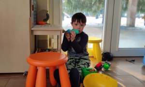 Tygryski: Styczeń 2026 - Zdjęcie 39