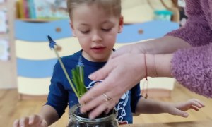 Tygryski: Styczeń 2026 - Zdjęcie 44