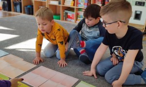 Tygryski: Styczeń 2026 - Zdjęcie 65