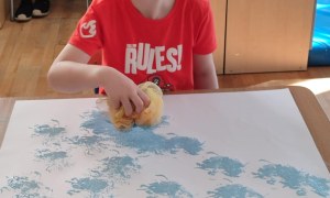 Tygryski: Styczeń 2026 - Zdjęcie 75