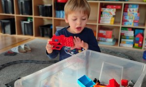 Tygryski: Styczeń 2026 - Zdjęcie 74