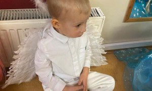 Bal Karnawałowy - Zdjęcie 110