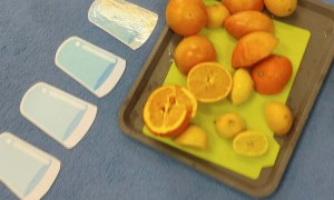 Bez Cukrowe Święto - Zdjęcie 146