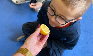 Bez Cukrowe Święto - Zdjęcie 174