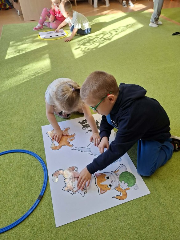 Sówki: Dzień Kota - Zdjęcie 47