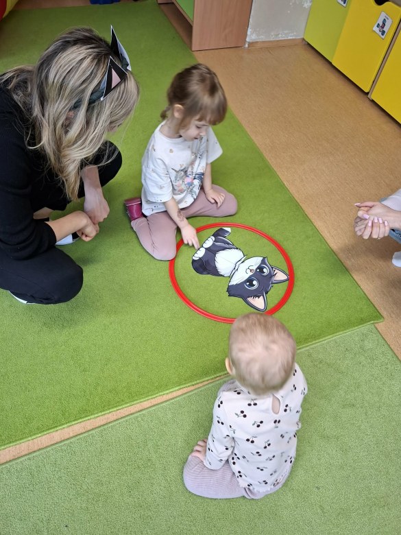 Sówki: Dzień Kota - Zdjęcie 3