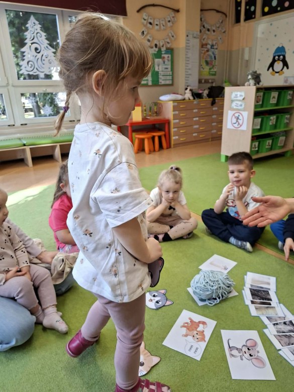 Sówki: Dzień Kota - Zdjęcie 9