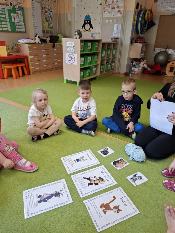 Sówki: Dzień Kota - Zdjęcie 19