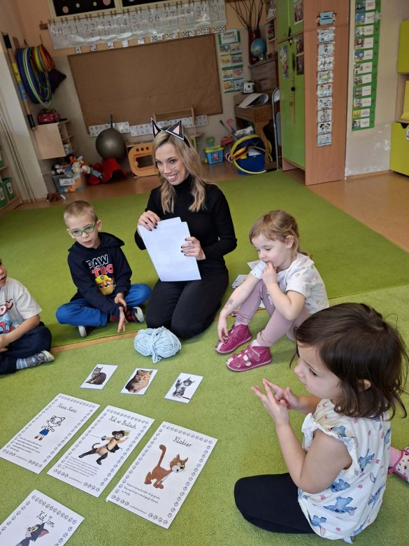 Sówki: Dzień Kota - Zdjęcie 21