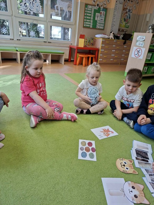 Sówki: Dzień Kota - Zdjęcie 18