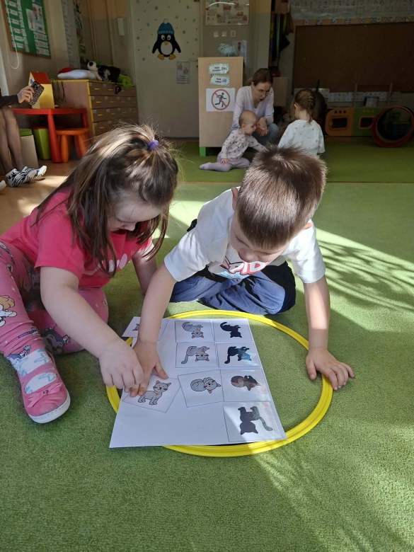 Sówki: Dzień Kota - Zdjęcie 20