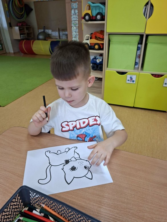 Sówki: Dzień Kota - Zdjęcie 24