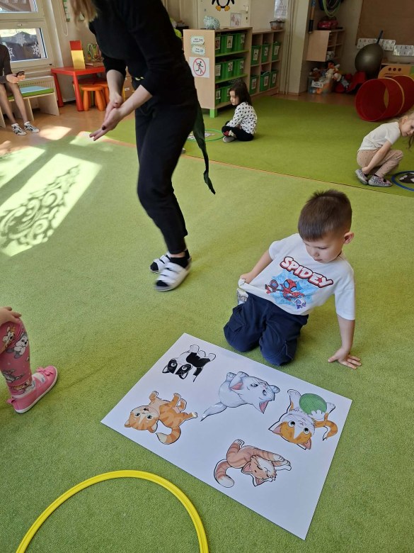 Sówki: Dzień Kota - Zdjęcie 33