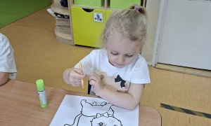 Sówki: Dzień Kota - Zdjęcie 49