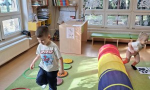 Sówki: Dzień Kota - Zdjęcie 2