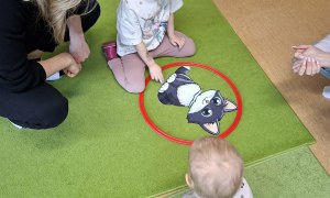 Sówki: Dzień Kota - Zdjęcie 3