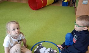 Sówki: Dzień Kota - Zdjęcie 4