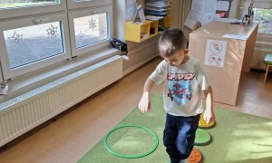 Sówki: Dzień Kota - Zdjęcie 7