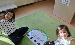 Sówki: Dzień Kota - Zdjęcie 13
