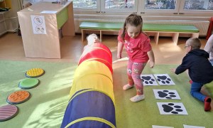 Sówki: Dzień Kota - Zdjęcie 27