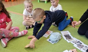 Sówki: Dzień Kota - Zdjęcie 42
