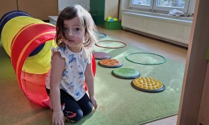 Sówki: Dzień Kota - Zdjęcie 14