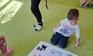 Sówki: Dzień Kota - Zdjęcie 33