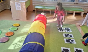Sówki: Dzień Kota - Zdjęcie 40