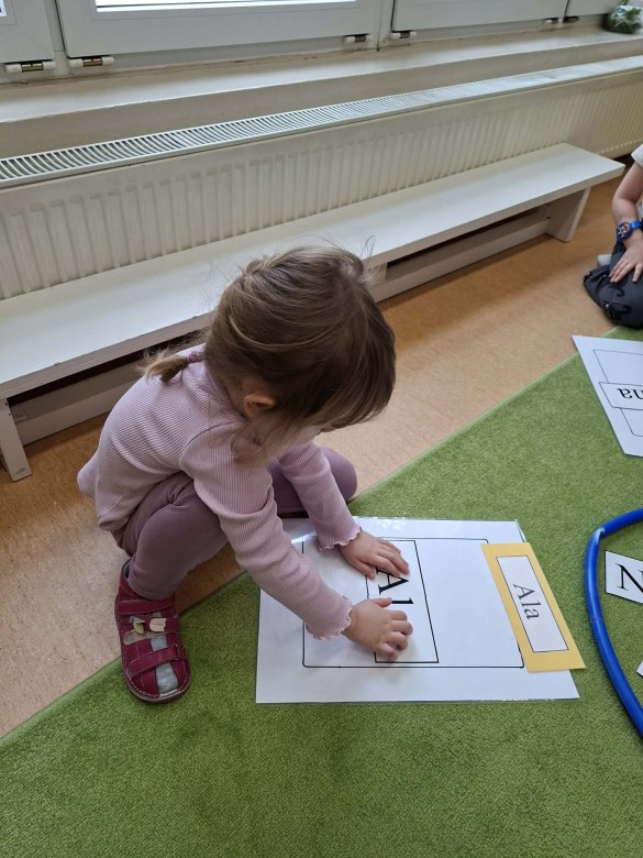 Sówki: Luty 2026 - Zdjęcie 305