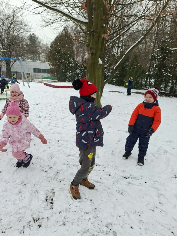 Sówki: Luty 2026 - Zdjęcie 311