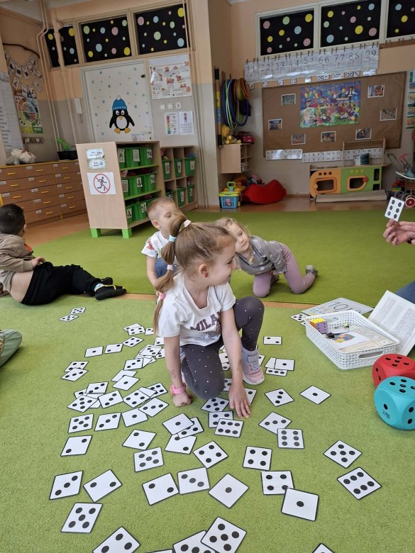 Sówki: Luty 2026 - Zdjęcie 336