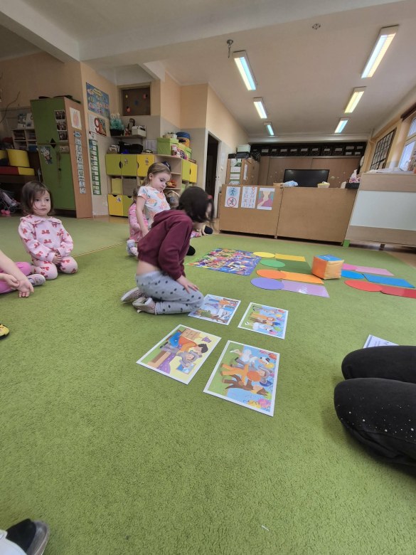 Sówki: Luty 2026 - Zdjęcie 375