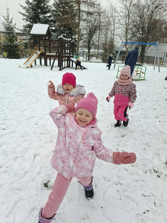 Sówki: Luty 2026 - Zdjęcie 377
